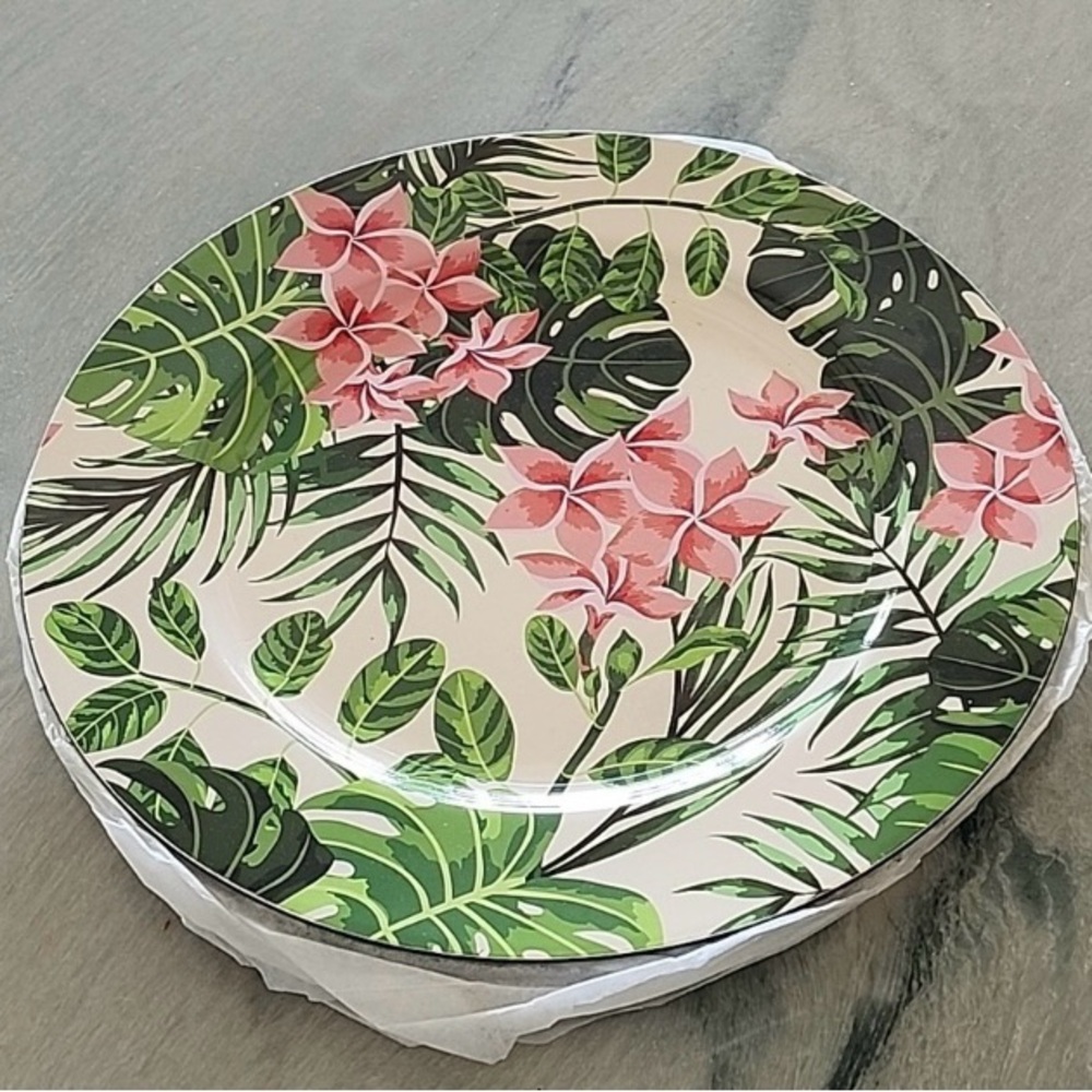 NIB Charger Plates     💐
